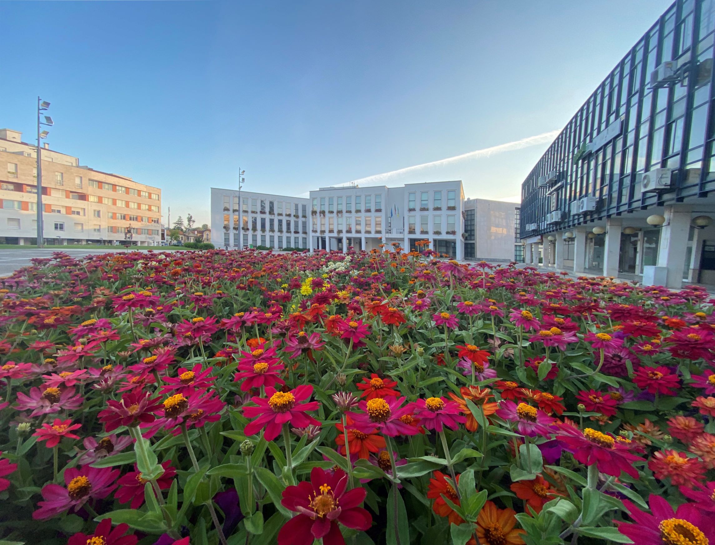 Imagem não disponível sobre: Águeda tem Índice de Sustentabilidade Municipal superior à média nacional