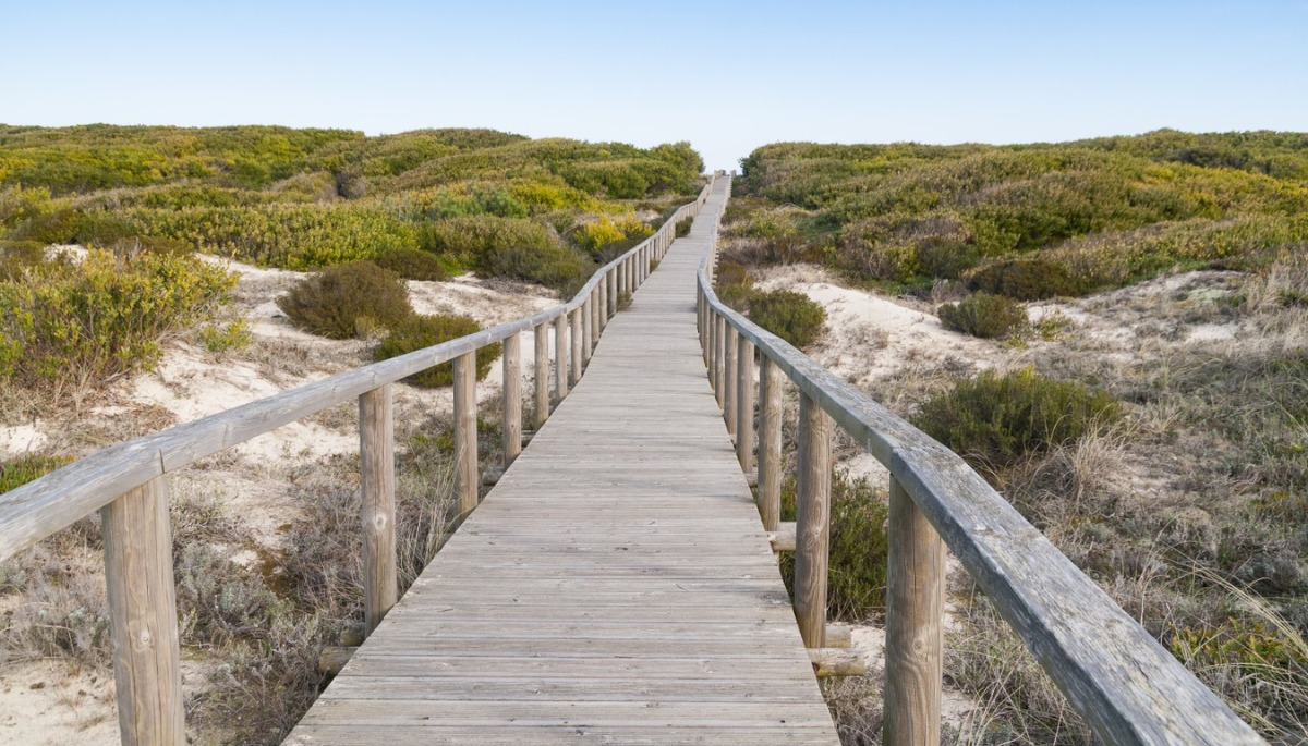 Imagem não disponível sobre: Candidaturas em curso: Ações de proteção e conservação da natureza e da biodiversidade
